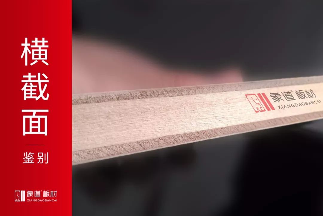 象道环保板材大全,象道板材
