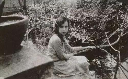 张爱玲的《小团圆》：一个也不放过