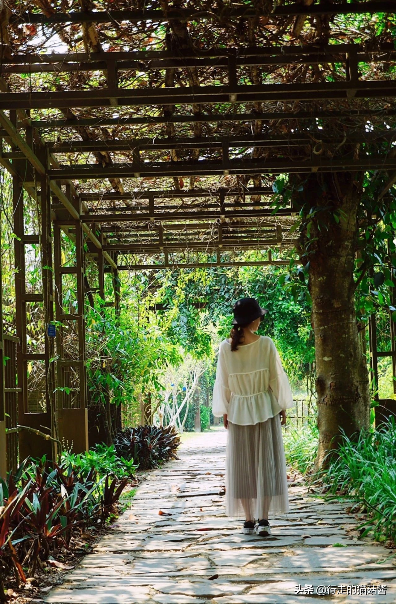 三刷西双版纳留给我的12个印象，聊聊这个宜居的边境小城