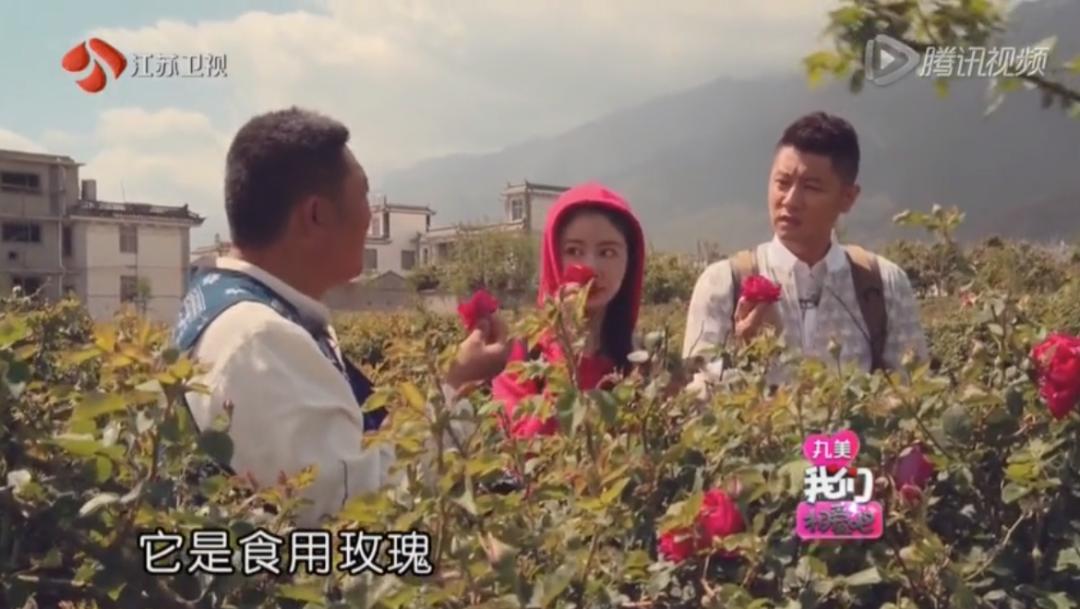 跟着综艺，让恋爱在大理浪漫