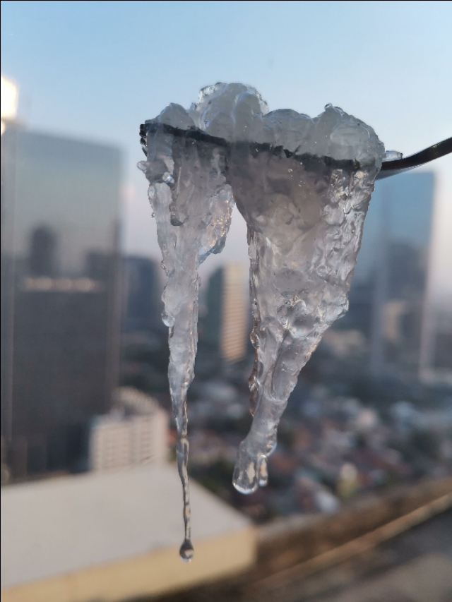 雪蛤贵还是燕窝贵,燕窝贵吗