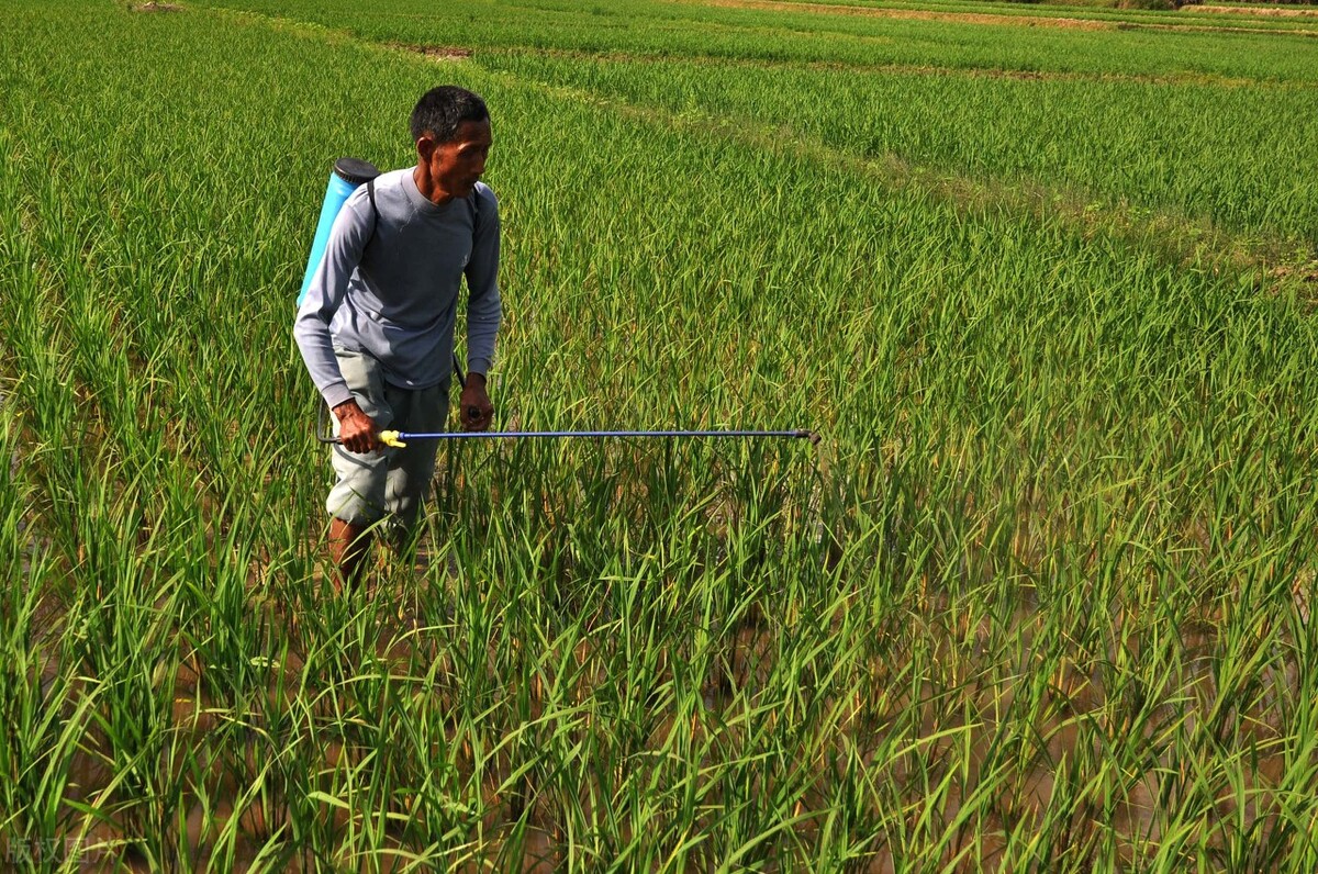 农民补贴一卡通怎么办,农村补贴的钱一卡通怎么领