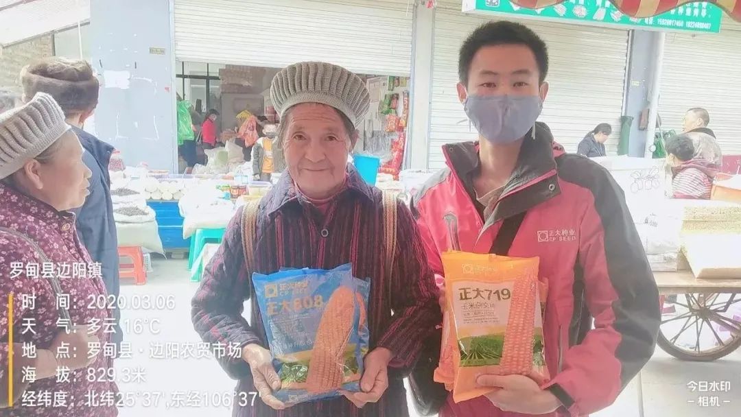 正大种业有哪几个,正大种业县级代理商