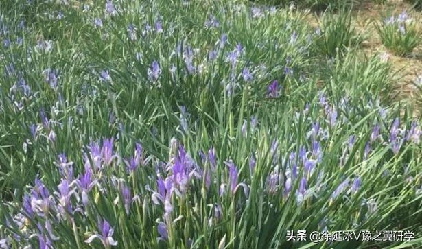 郑州五一近郊游的好地方,不出郑州就能游玩的地方