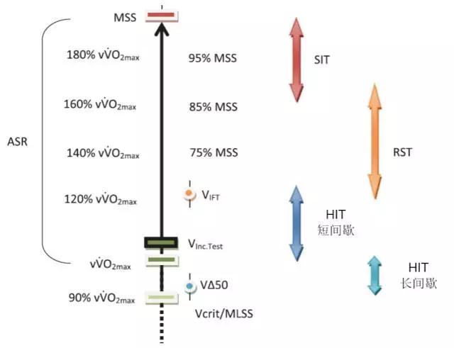 什么是hit运动,高强度hit训练