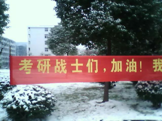 微商代购新规,再见微商代购是真的吗