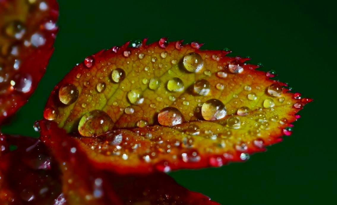 用情至深的人也容易极端,用情太深的人都容易心碎