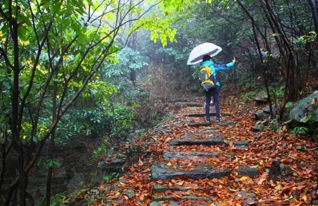皖南川藏线自驾游攻略三天两夜,皖南川藏线深秋自驾游攻略最新版
