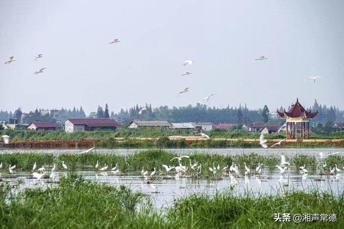 书写安乡情讴歌新时代——章绍君春联集锦