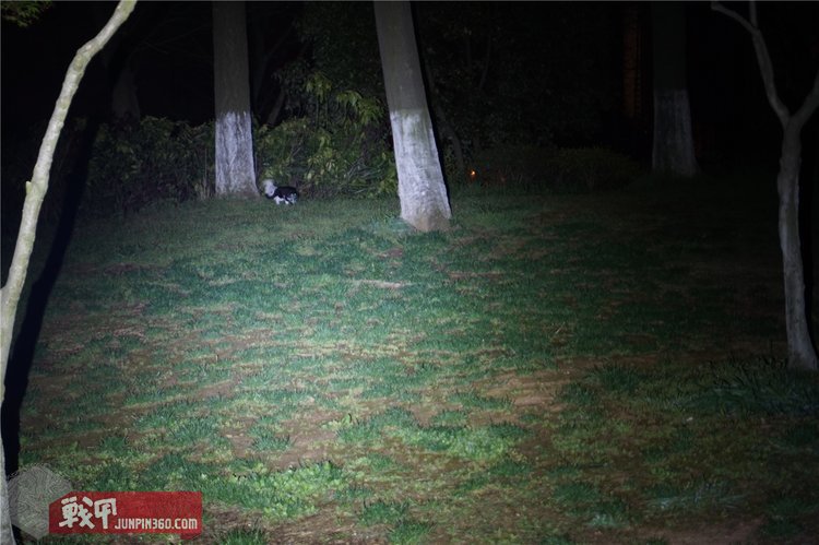 手电王纳丽德p80夜间评测,纳丽德p80晚上测评