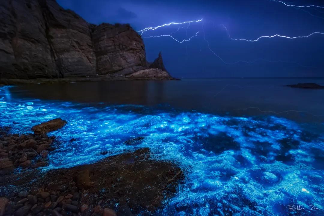 三亚和厦门哪个更值得去玩,三亚和厦门哪个更值得去游玩