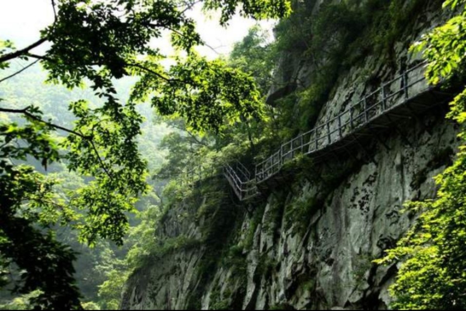 南召宝天曼地质公园,宝天曼内乡地质公园