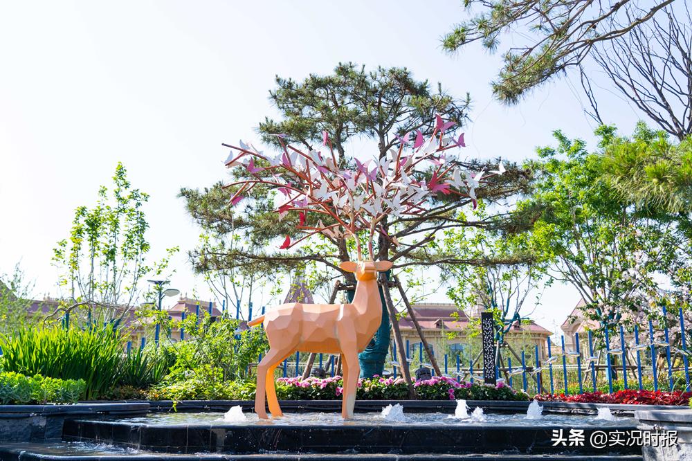 丁字湾恒大世纪文化城能升值吗,丁字湾恒大世纪文化城工程进展