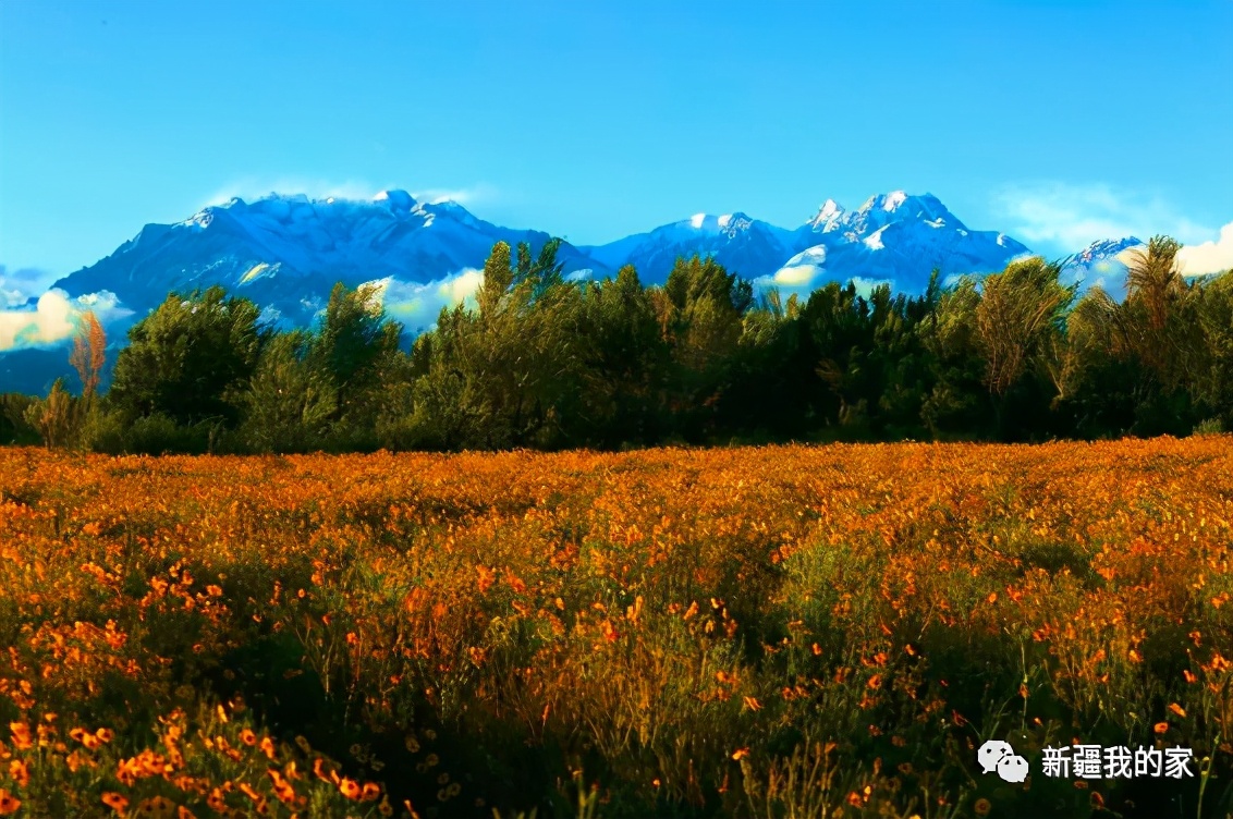 达坂城古迹在哪里,达坂城是个啥地方