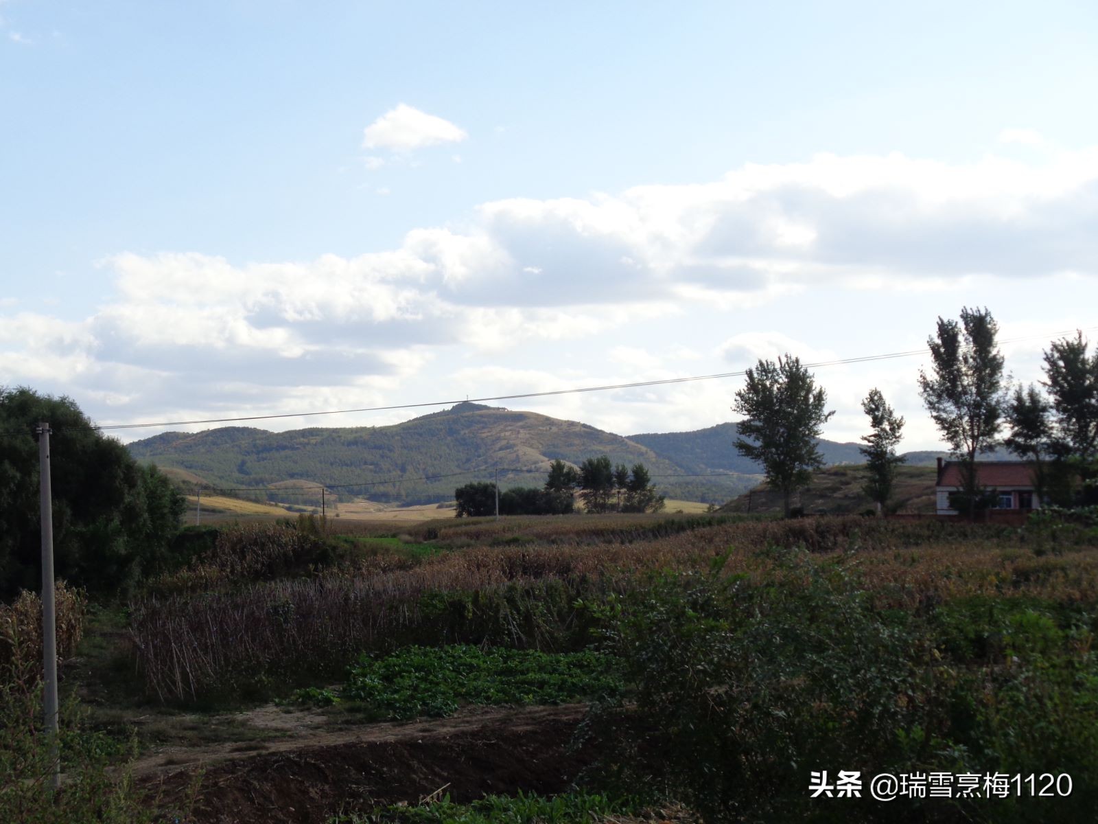 沈北新区依路村,沈北新区马刚乡地图