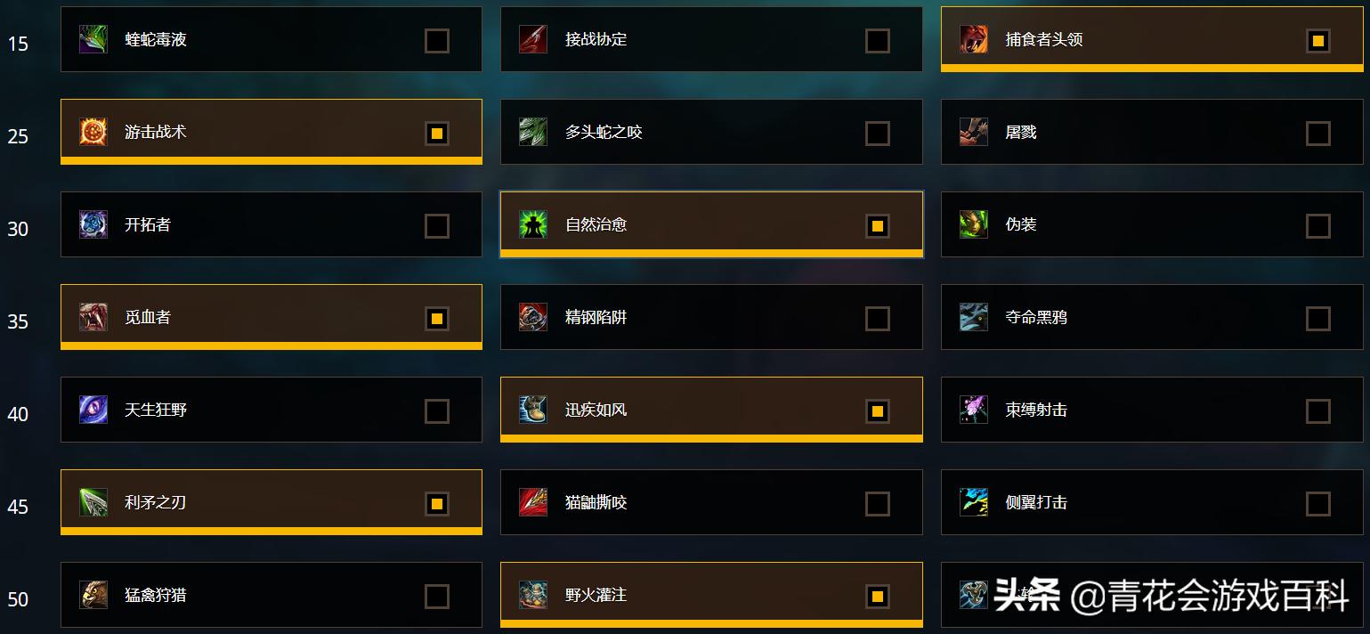 暗影国度兽王猎输出循环,魔兽世界暗影猎人攻略