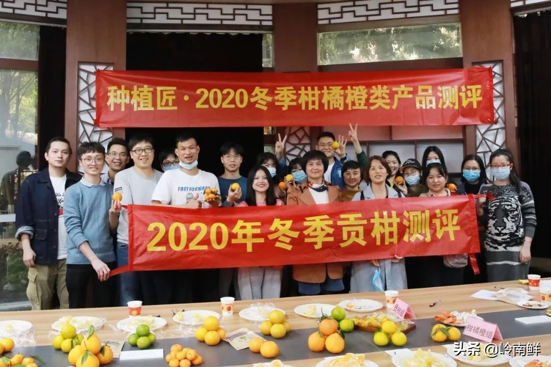 柑橘能吃出菠萝味？带你体验种植匠2020冬季柑橘橙测评