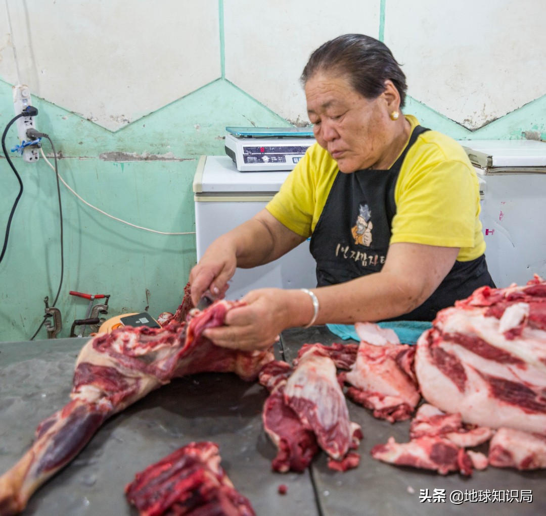 蒙古国农业潜力,蒙古国为什么适合发展畜牧业