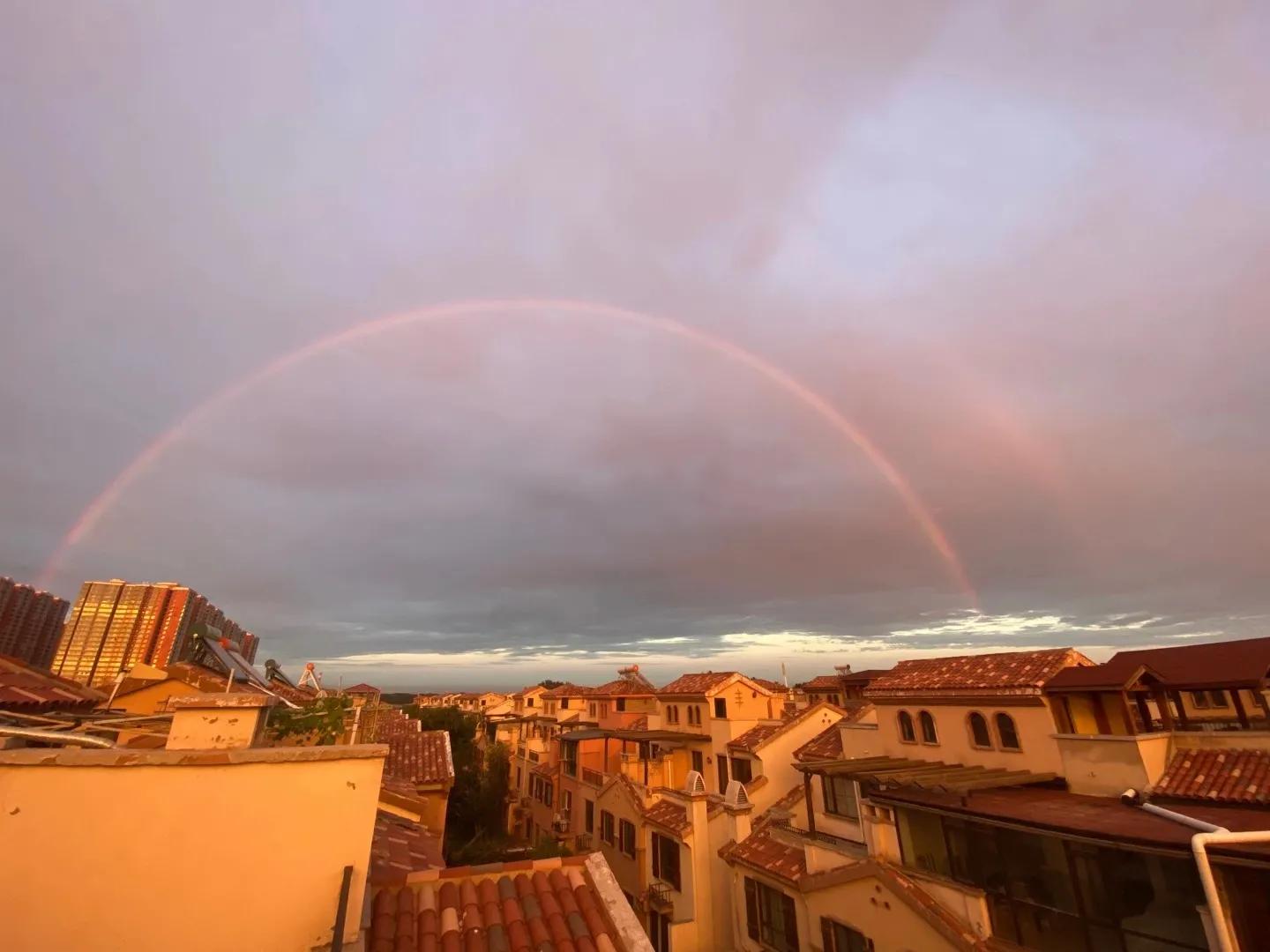 留学回国年轻人很多,出国留学回国后的真实感受