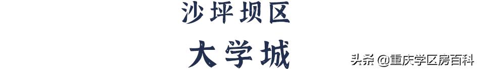 沙小、树人、七中！来看沙坪坝如何布局教育资源