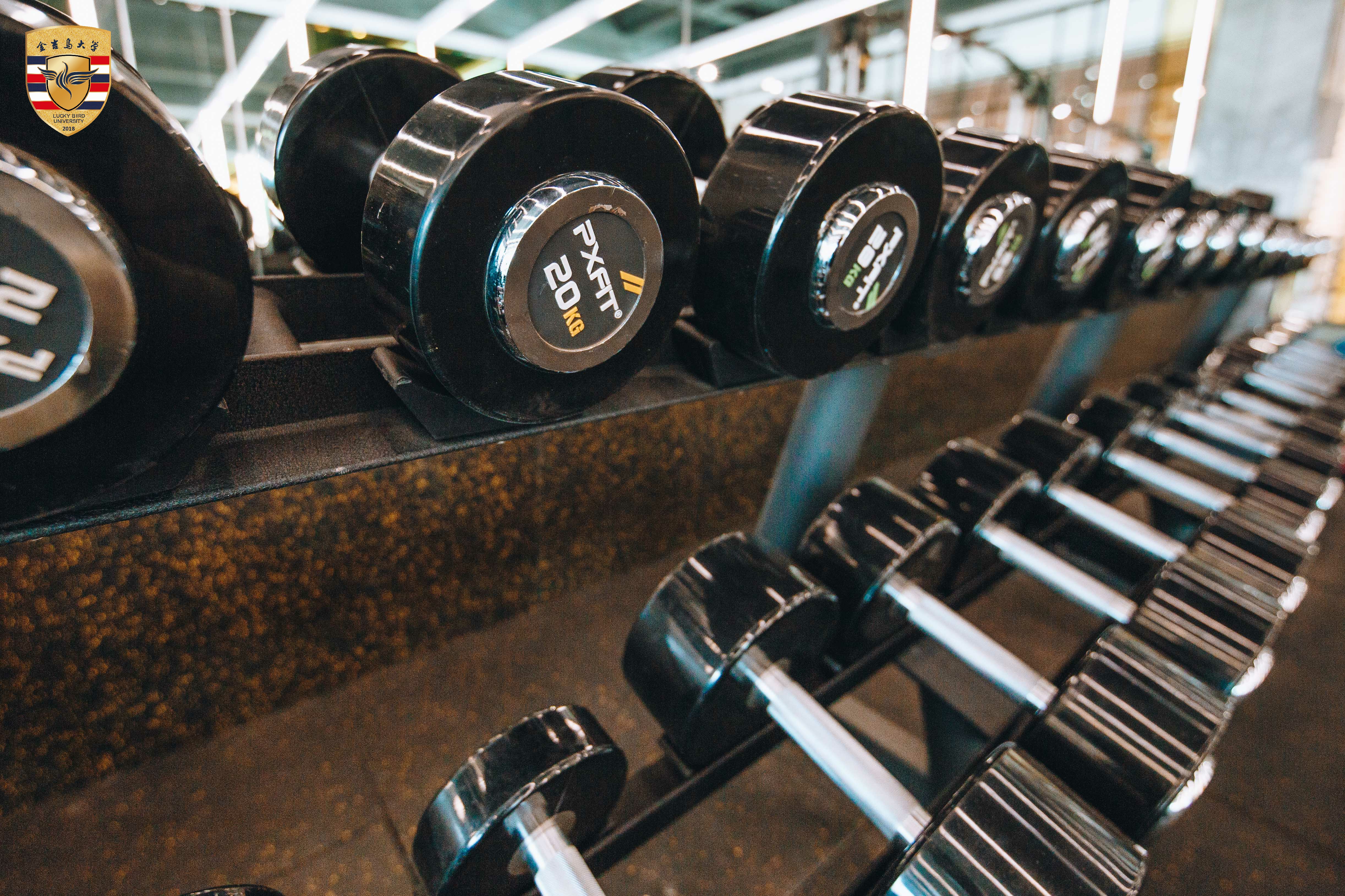 乌鲁木齐健身教练培训学校,上海体适能健身教练培训学校