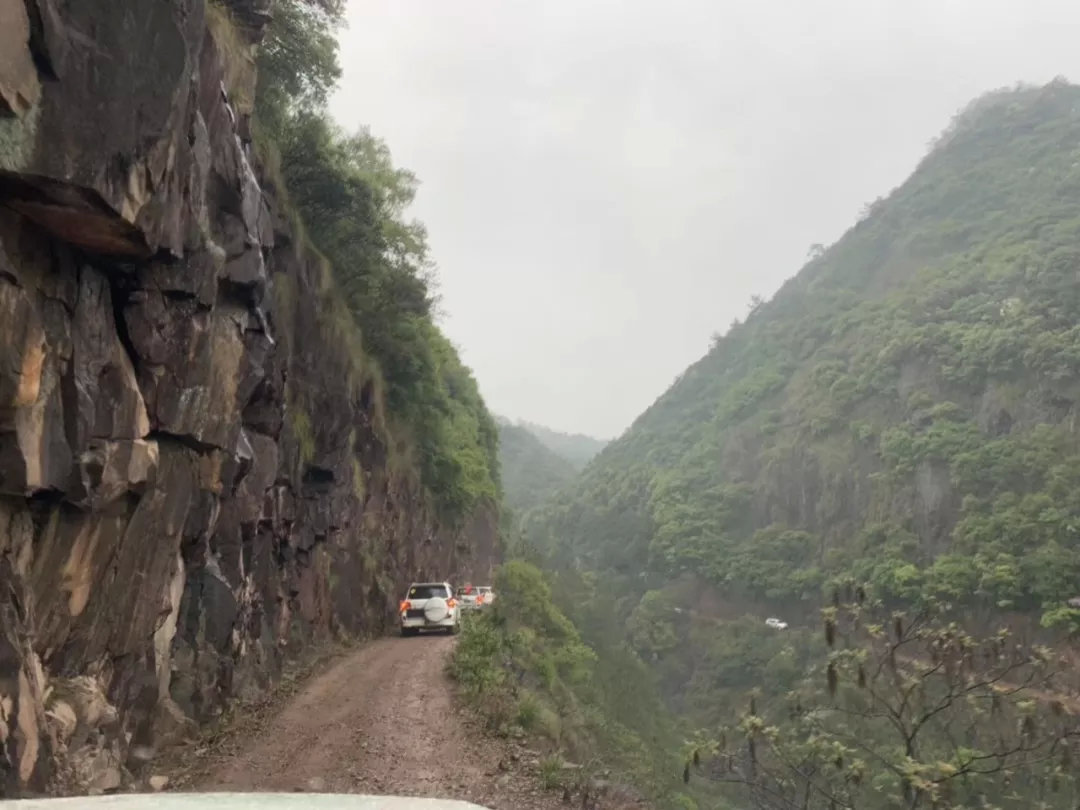 鐖卞績鍔╁鍦嗘ⅵ琛屽姩,鍏泭鐖卞績鍔╁娲诲姩