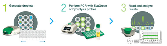 全场硬菜!分子诊断技术全解析