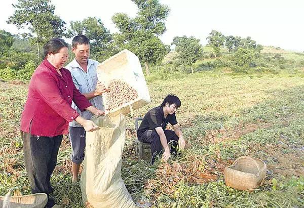 人越老越喜欢回忆过去,人一旦老了就特别爱回忆