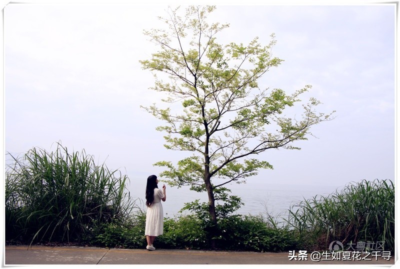 深圳市杨梅坑美人鱼拍摄基地,深圳大鹏杨梅坑美人鱼拍摄地点