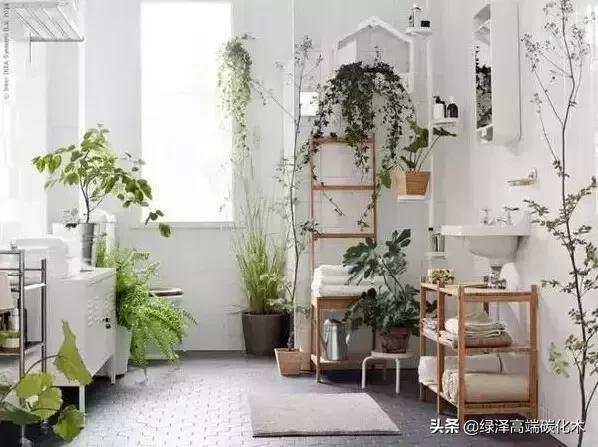 室内花花草草怎么布置,怎样把花花草草弄墙上