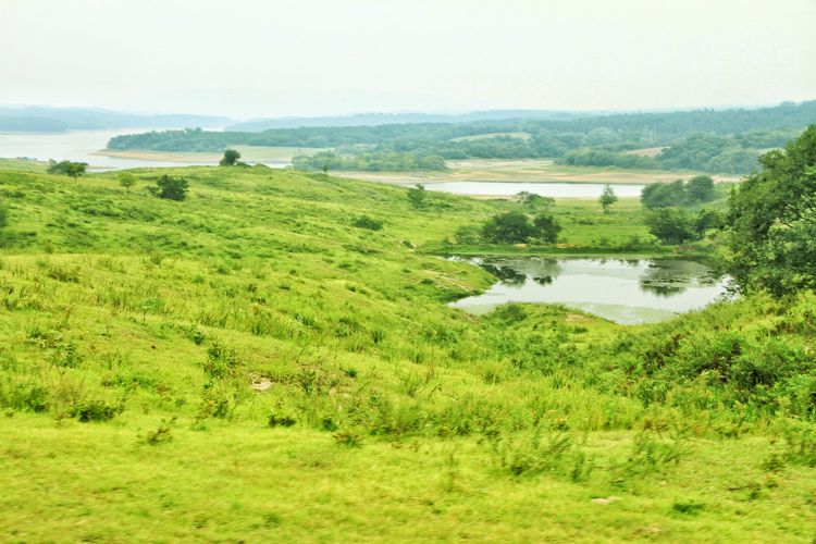安徽草原旅游,安徽大草原景区