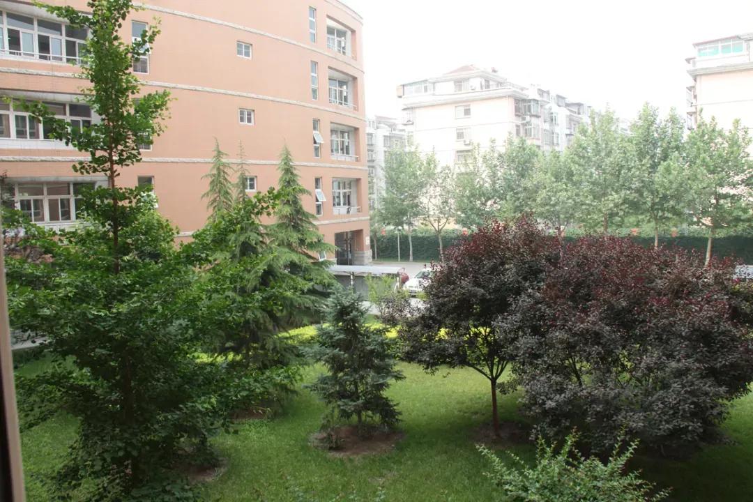 天津市41中学高中好吗,天津市所有普通高级中学排名