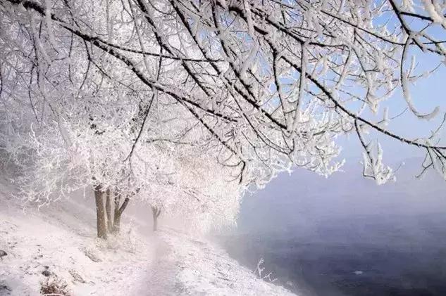 雾凇之美宛若仙境,连云港花果山雾凇美得像仙境