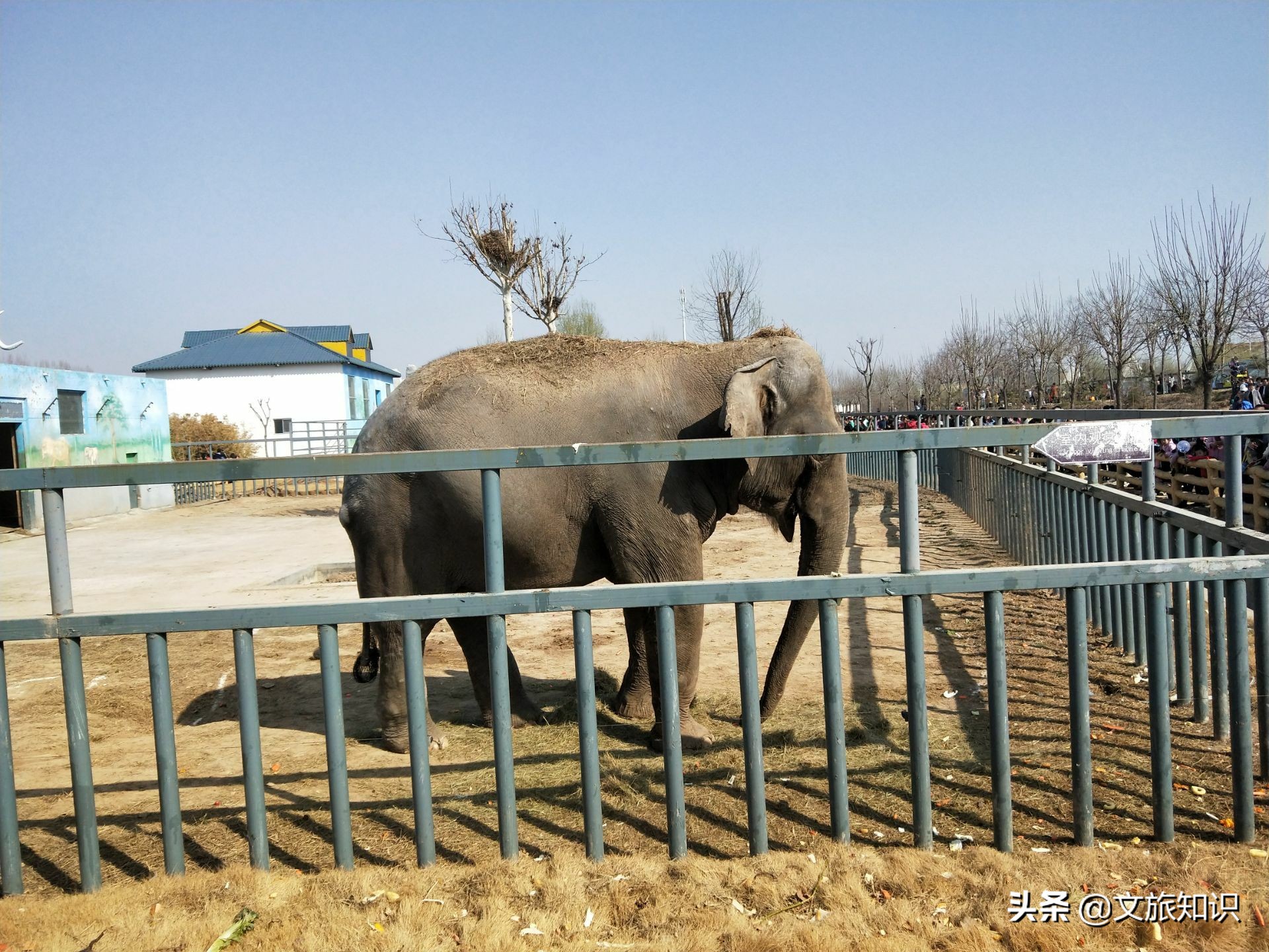 山东德州动植物园旅游区,德州市动植物园视频