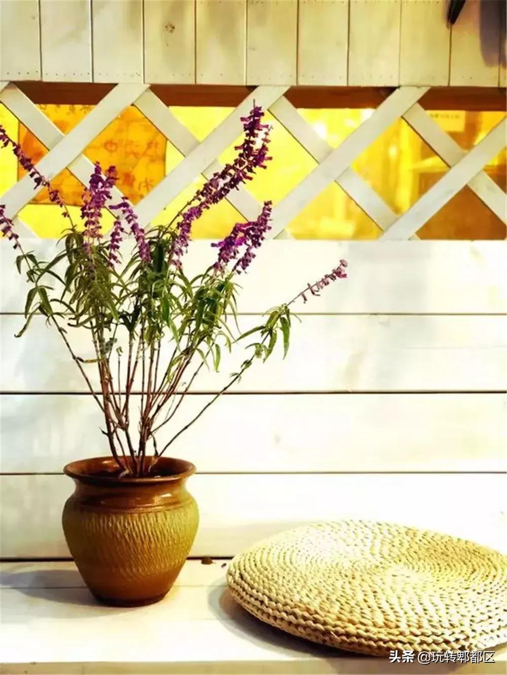 暹香泰茶和素匠泰茶,暹香泰茶好不好