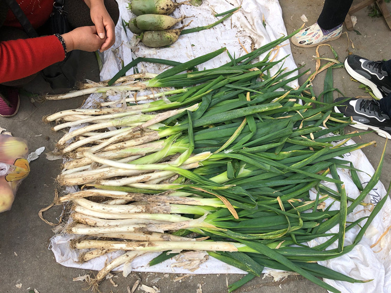 冬天大葱保存方法家常做法,冬天楼房保存大葱的好方法是什么