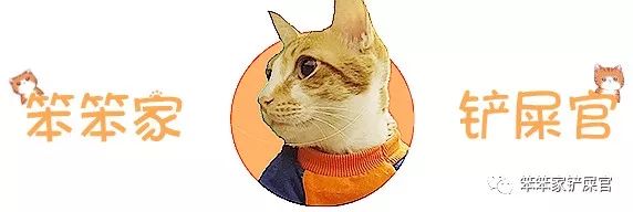 猫咪有没有细菌传染给小孩,猫咪病菌辟谣