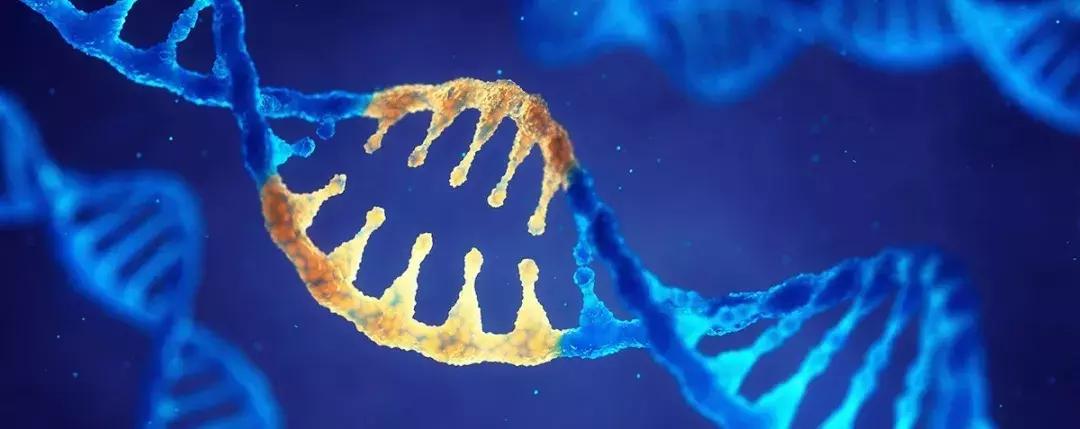 科学家找到了癌细胞的软肋，给了它致命的最后一击！