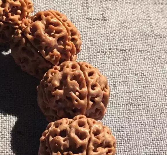 金刚贵贱区别,金刚菩提多久能红