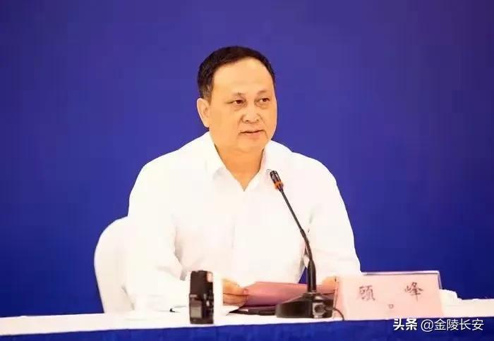 非婚生子的副市长被“双开”