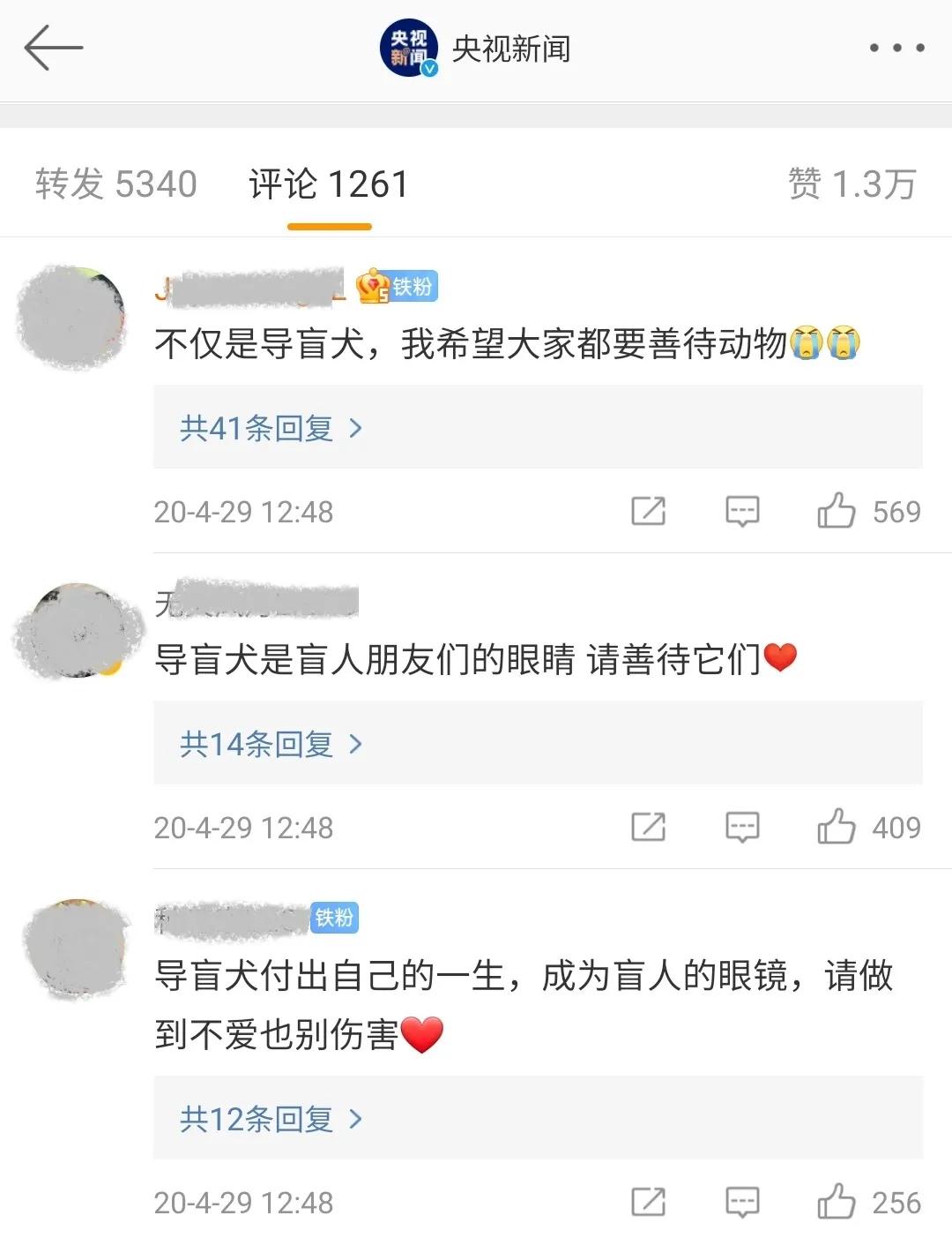 导盲犬被热议视频,导盲犬为什么被指责