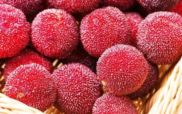 杨梅有虫子直接吃行吗,如何解决杨梅里的虫子问题