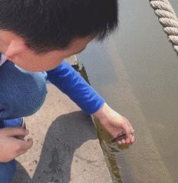 搞笑gif趣图小伙子估计你要单身了,gif爆笑趣图大爷永远是大爷