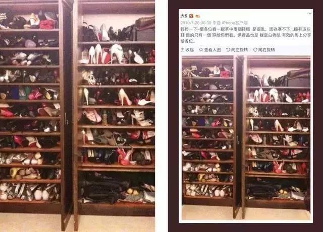 老佛爷的遗产真的由猫继承,老佛爷的所有家产最后留给了猫