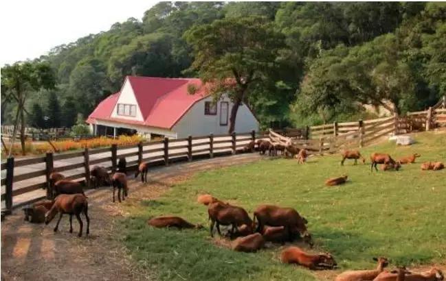 国际乡村旅游经验,台湾乡村旅游有什么值得借鉴的