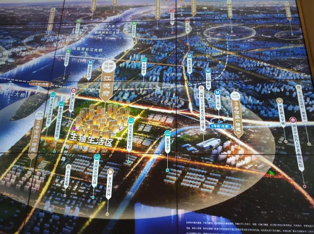 白沙洲告别篇:留汉大学生“首站”青菱新区