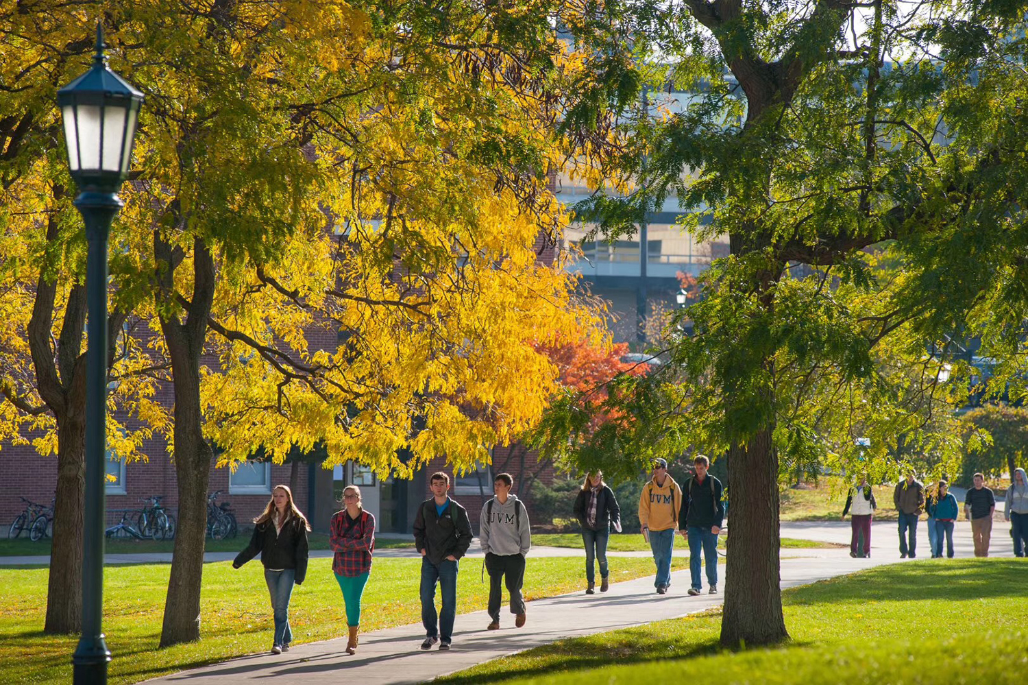 女孩子本科美国留学学什么专业好,美国留学女性学什么专业好
