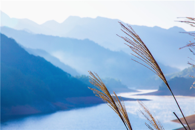 浙江金华温泉度假村,金华度假酒店有哪些