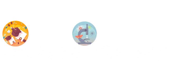 牛的真胃是瓣胃吗,牛有四个胃哪个是真的