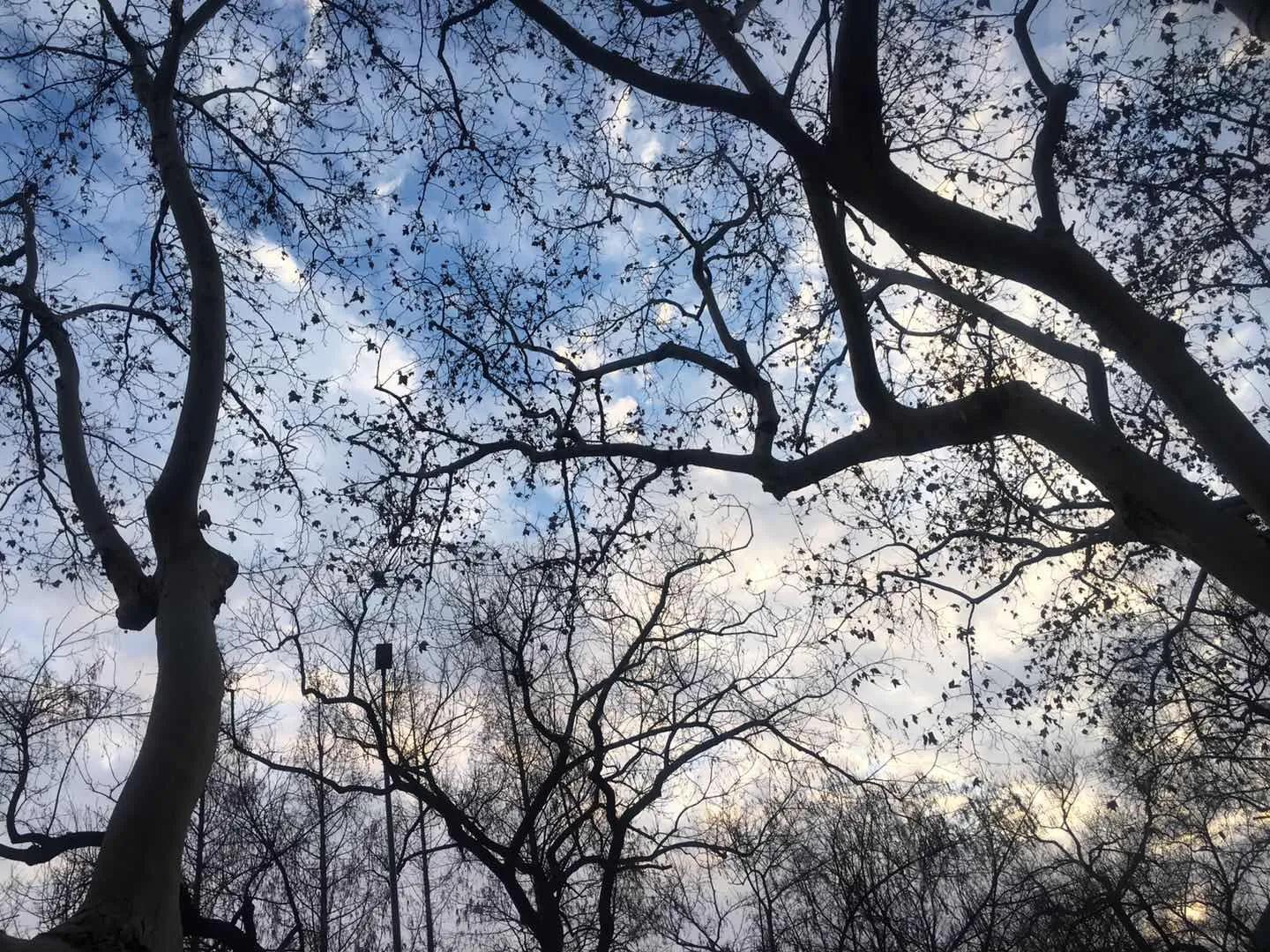 关于新媒体运营公司的市场分析,关于新媒体运营师证